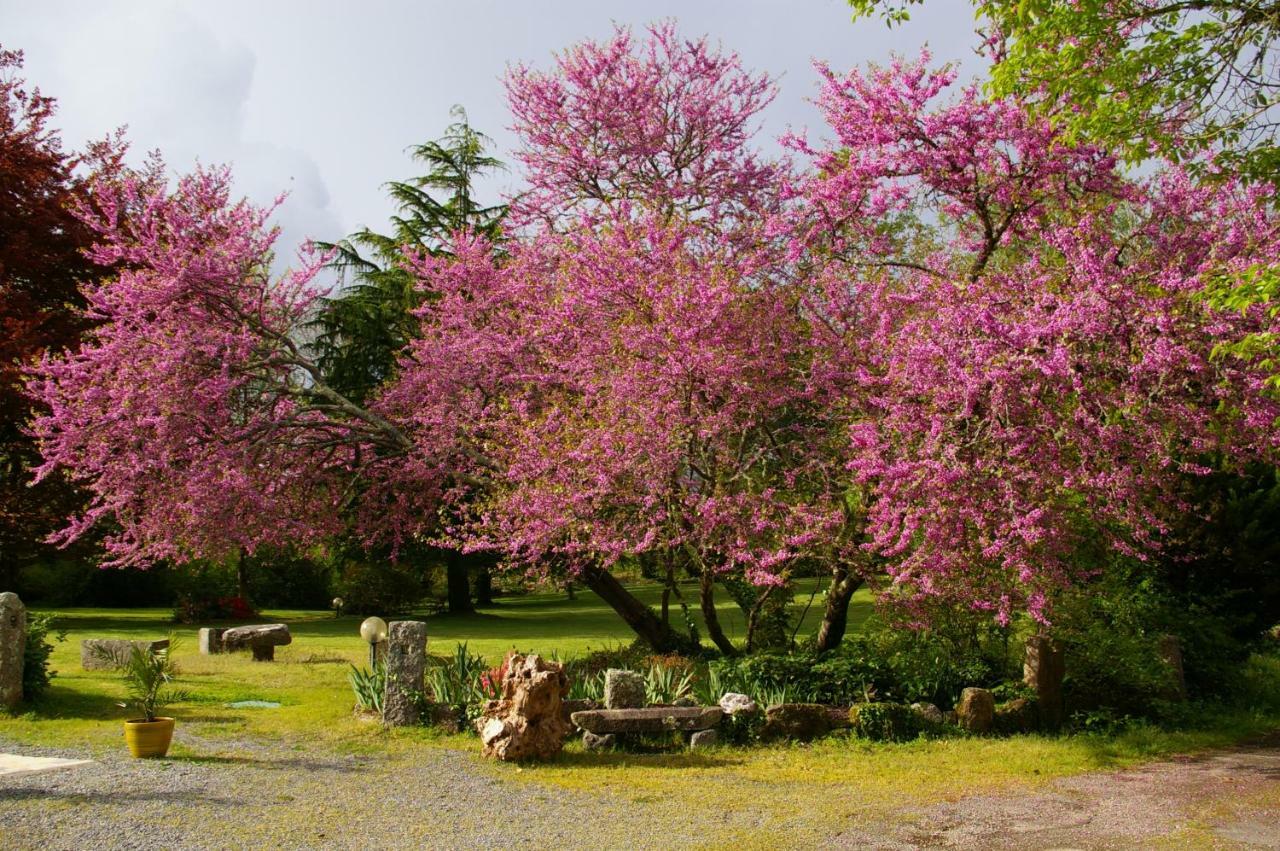 Domaine Les Grandes Roches Bed & Breakfast Tregunc Luaran gambar