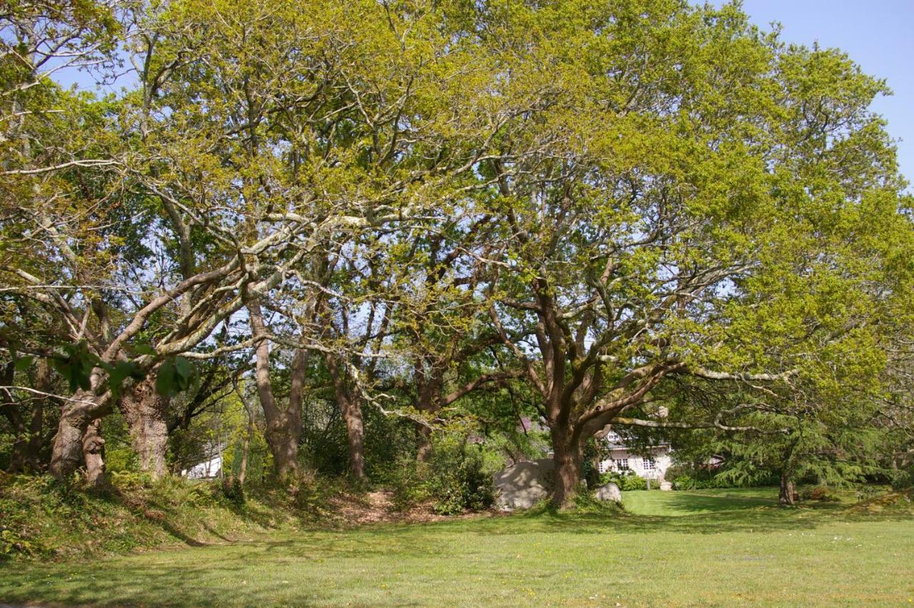 Domaine Les Grandes Roches Bed & Breakfast Tregunc Luaran gambar